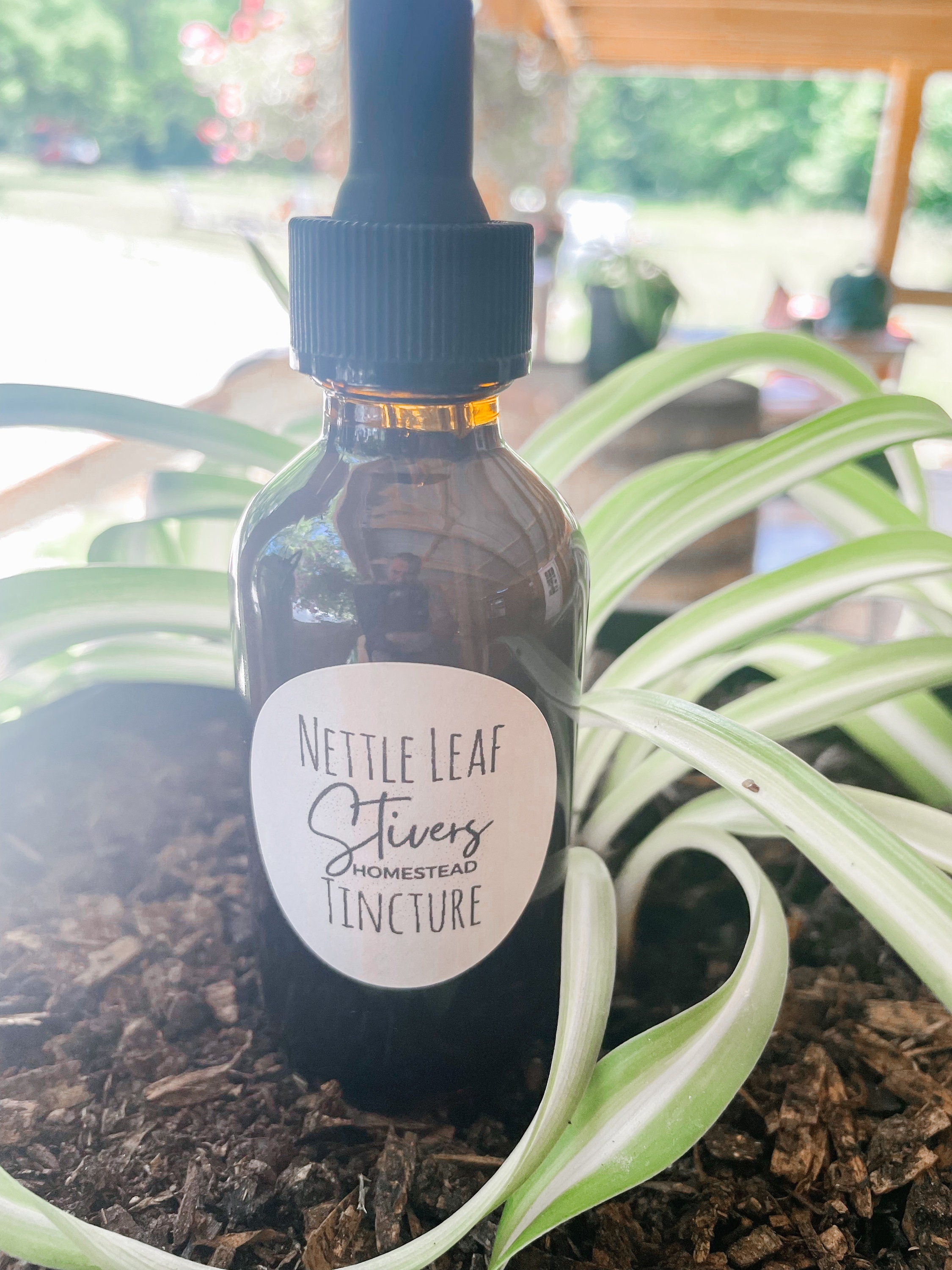 Nettle Leaf Tincture